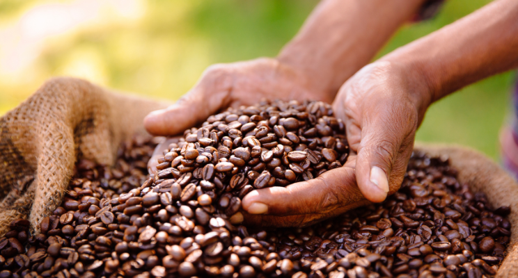Exploring Coffee Origins: Brazil, Colombia, and Ethiopia